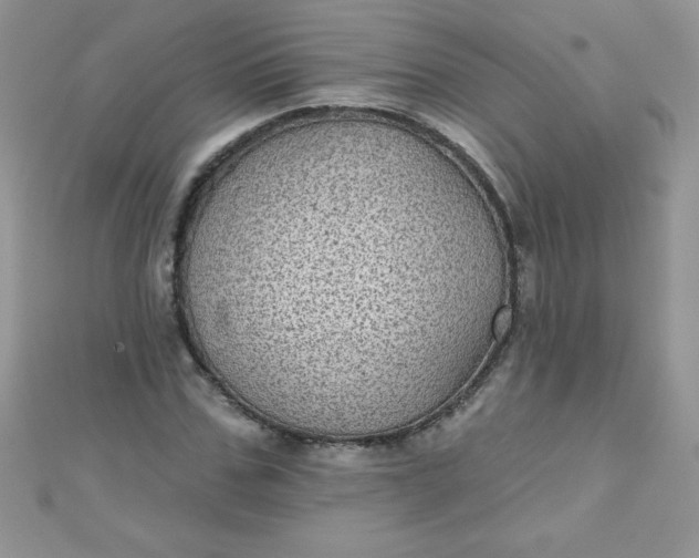 X0000111000971200907022133