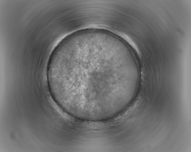 X0000111000972200907022133