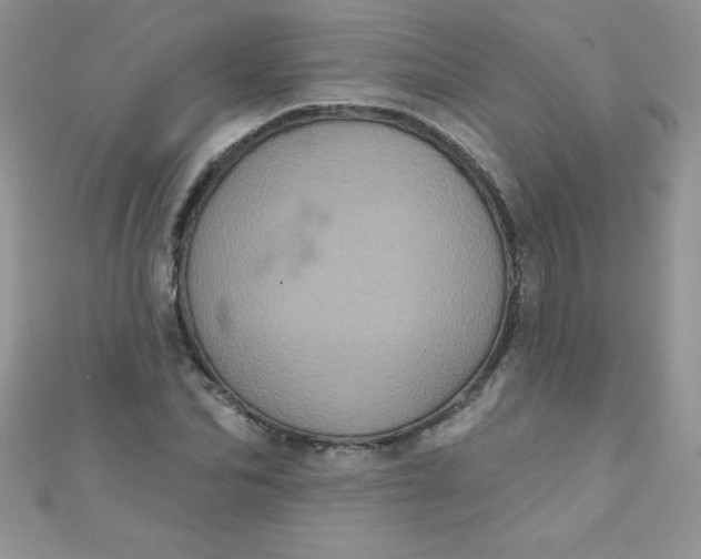 X0000111000974200907022133