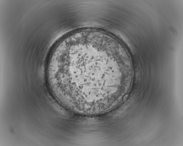 X0000111000975200907022133