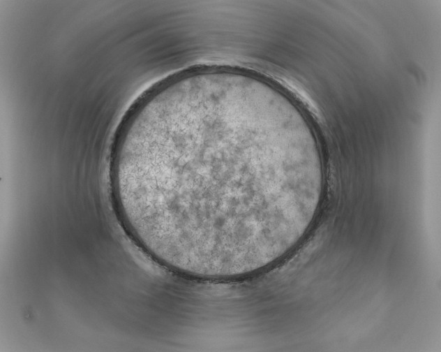 X0000111000976200907022133