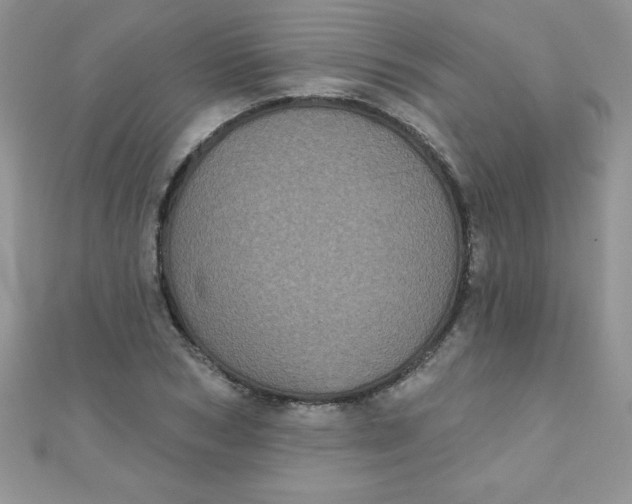 X0000111000978200907022133