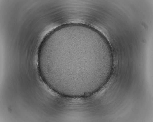 X0000111000979200907022133