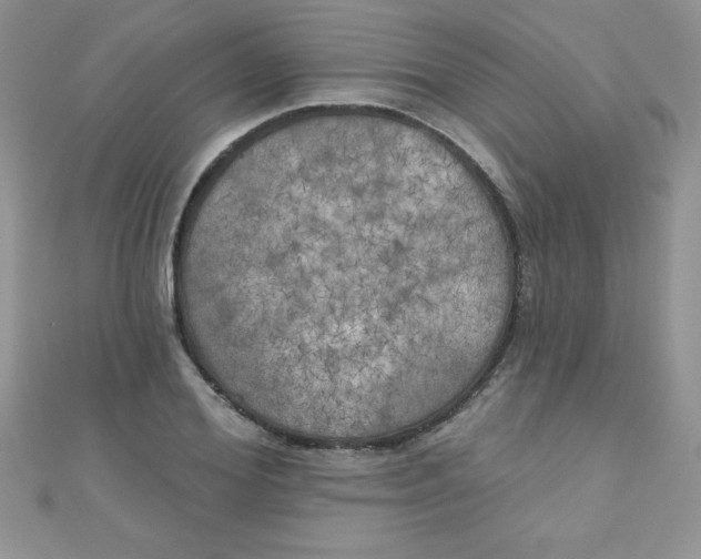 X0000111000980200907022133