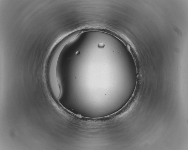 X0000111000981200907022133