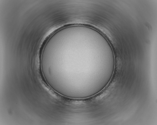 X0000111000982200907022133