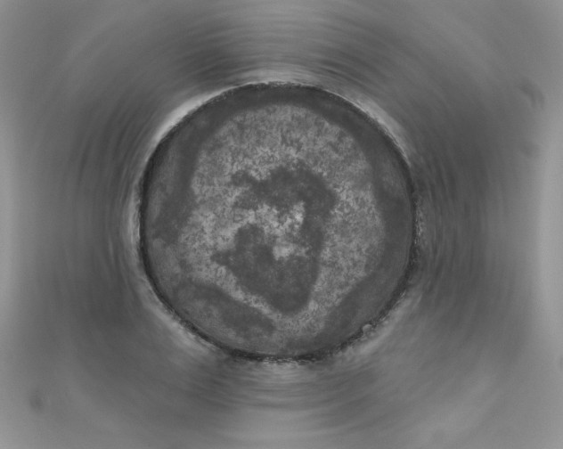 X0000111000983200907022133