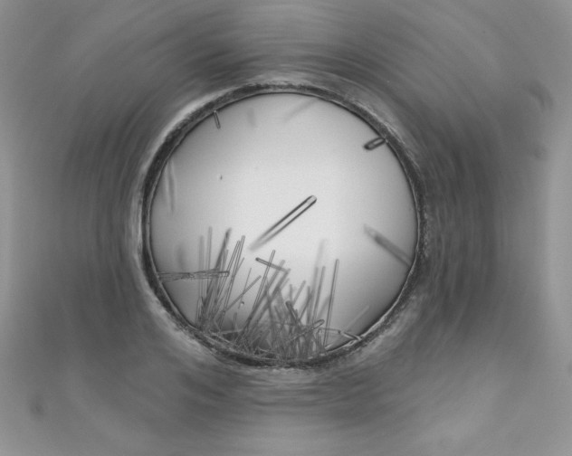 X0000111000984200907022133