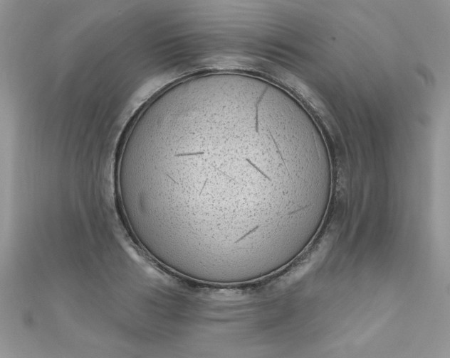 X0000111000986200907022133