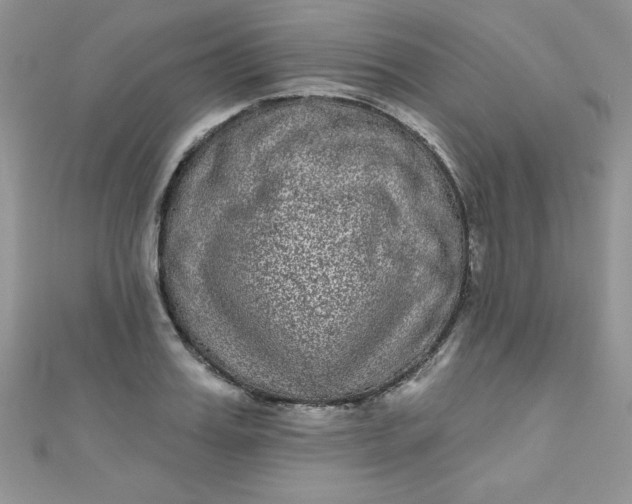 X0000111000987200907022133