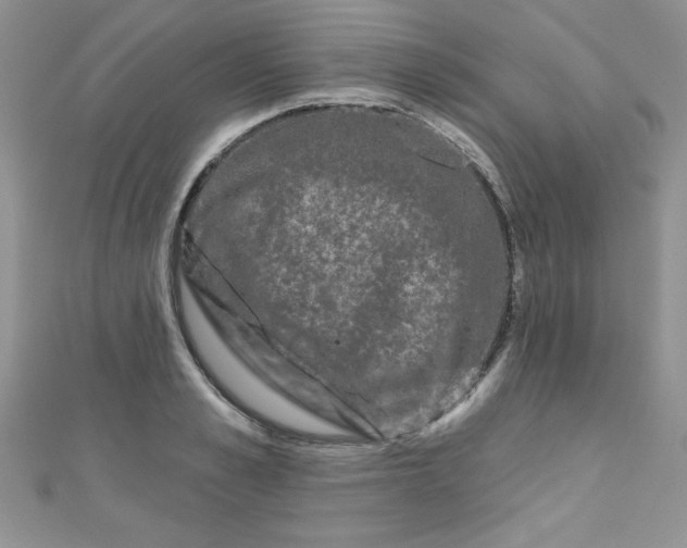 X0000111000989200907022133