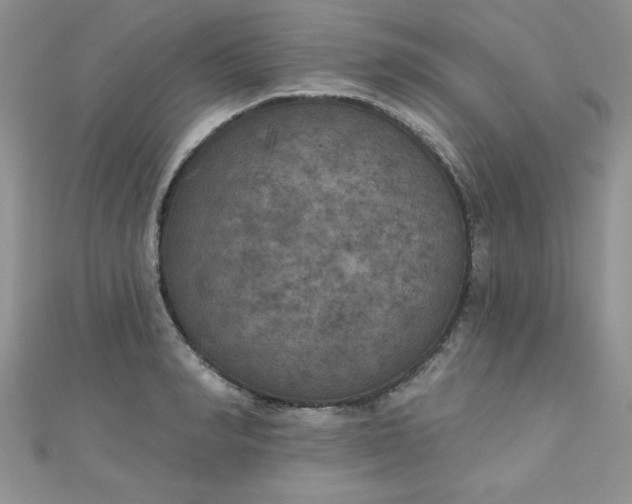 X0000111000990200907022133