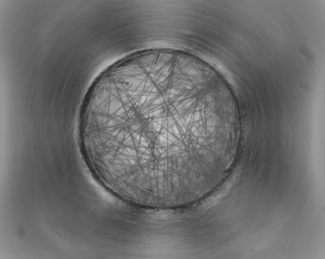 X0000111000991200907022133