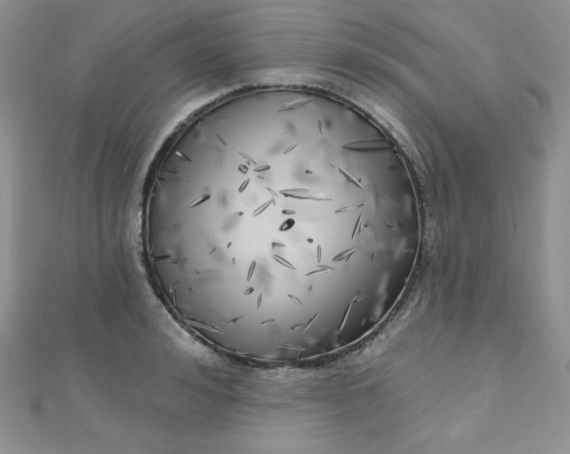 X0000111000992200907022133