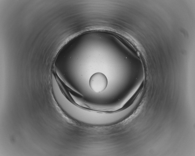 X0000111000993200907022133