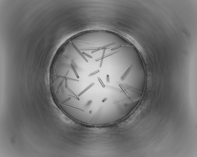 X0000111000996200907022133