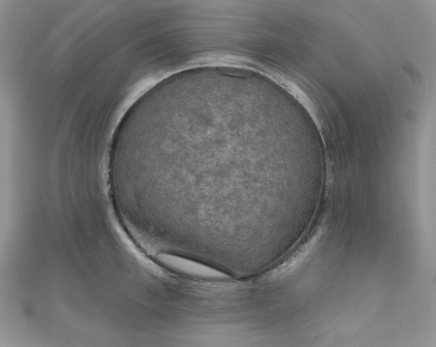 X0000111000997200907022133