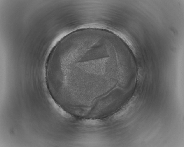 X0000111000998200907022133