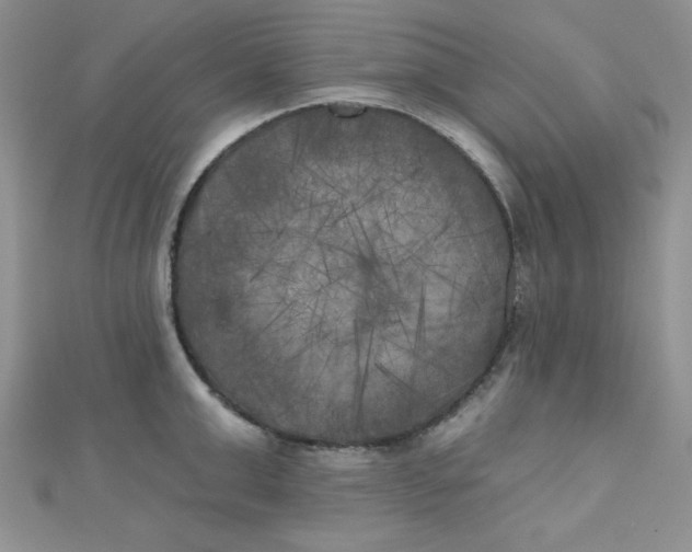 X0000111000999200907022133