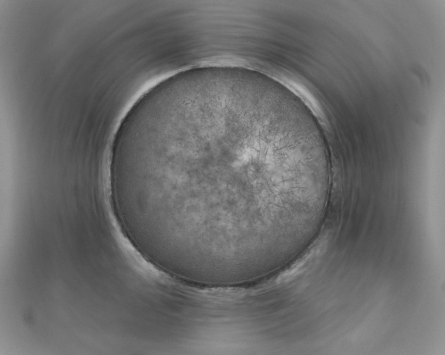 X0000111001000200907022133