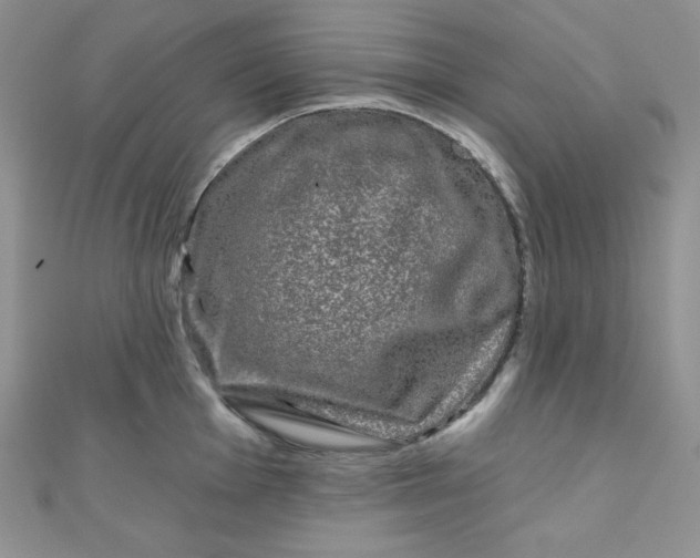 X0000111001001200907022133