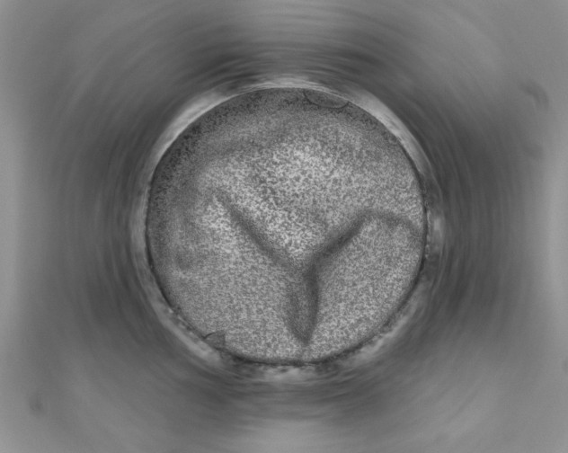 X0000111001002200907022133