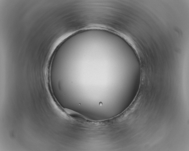 X0000111001003200907022133