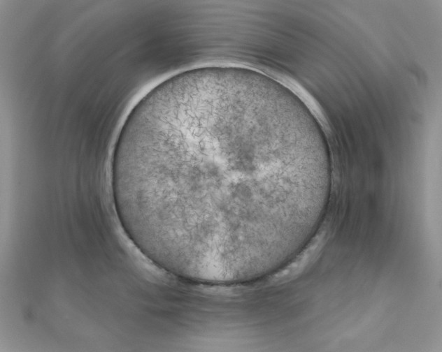 X0000111001004200907022133