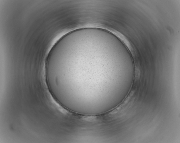 X0000111001006200907022133