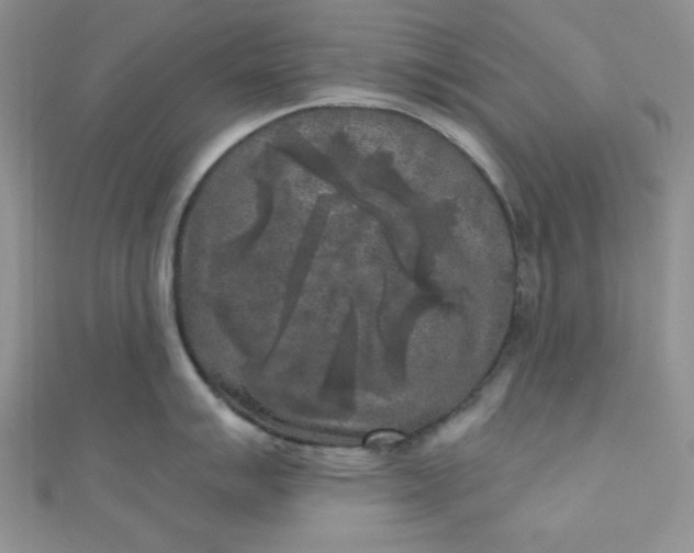 X0000111001007200907022133