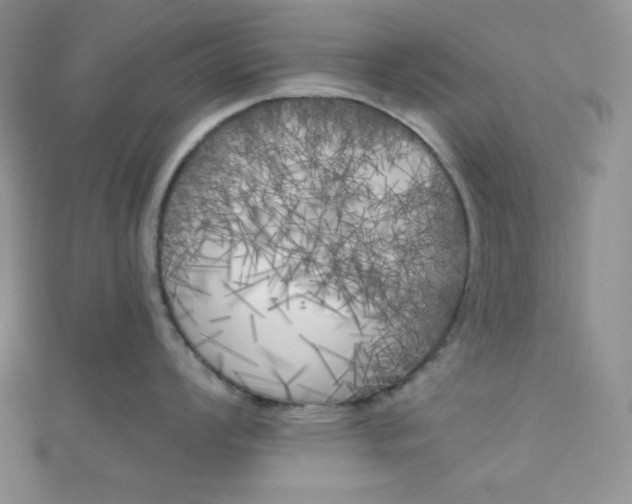 X0000111001008200907022133