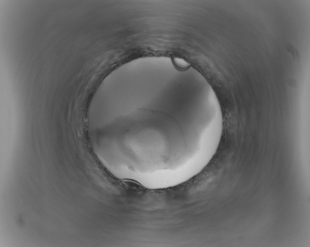 X0000111001009200907022132