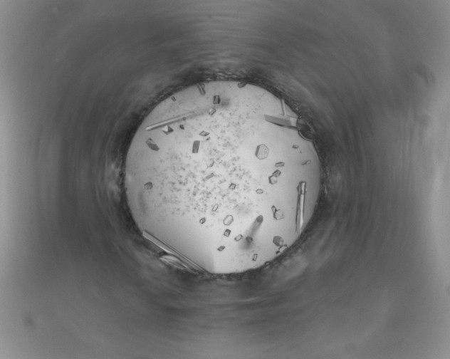 X0000111001010200907022132