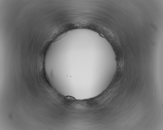 X0000111001012200907022132