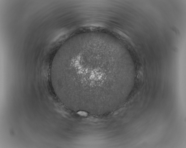 X0000111001014200907022132