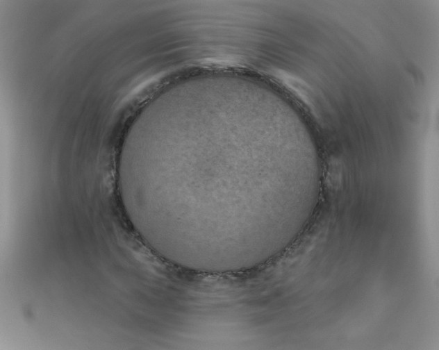 X0000111001015200907022132