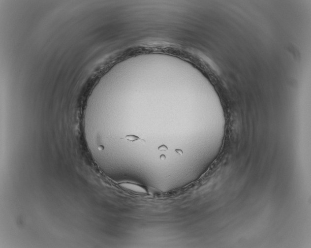 X0000111001016200907022132