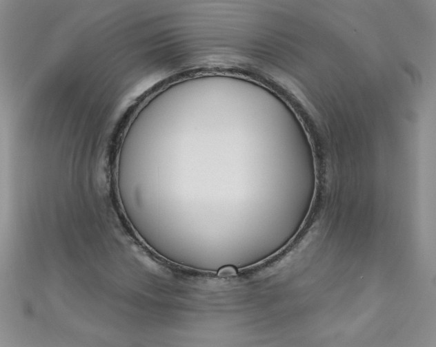 X0000111001018200907022132