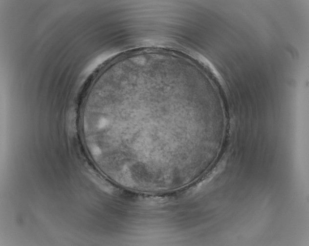 X0000111001019200907022132