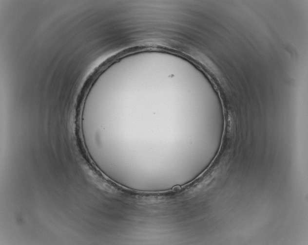 X0000111001020200907022132