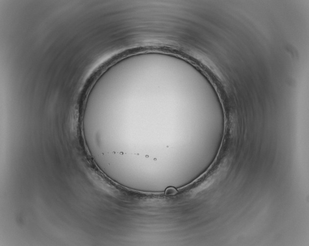 X0000111001021200907022132