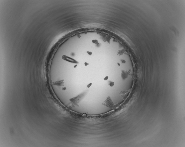 X0000111001022200907022132