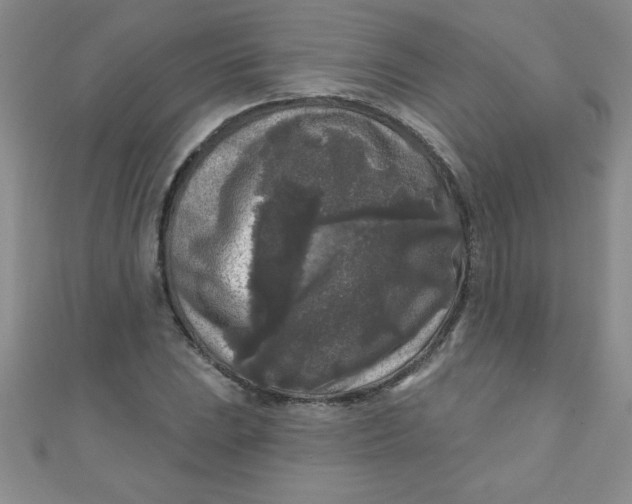 X0000111001023200907022132