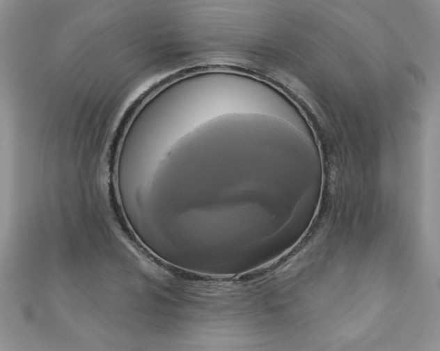 X0000111001024200907022132