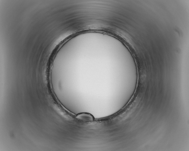 X0000111001026200907022132