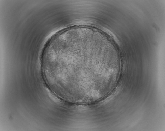 X0000111001027200907022132