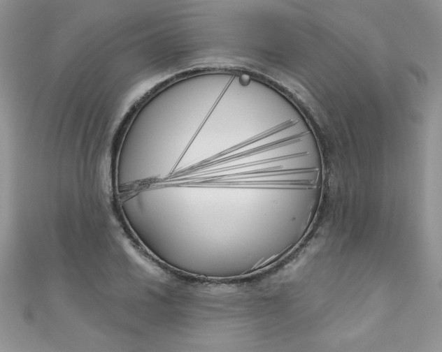 X0000111001030200907022132