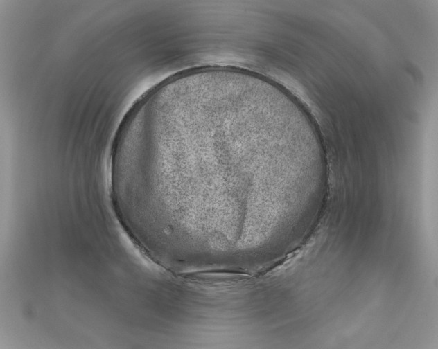 X0000111001032200907022132