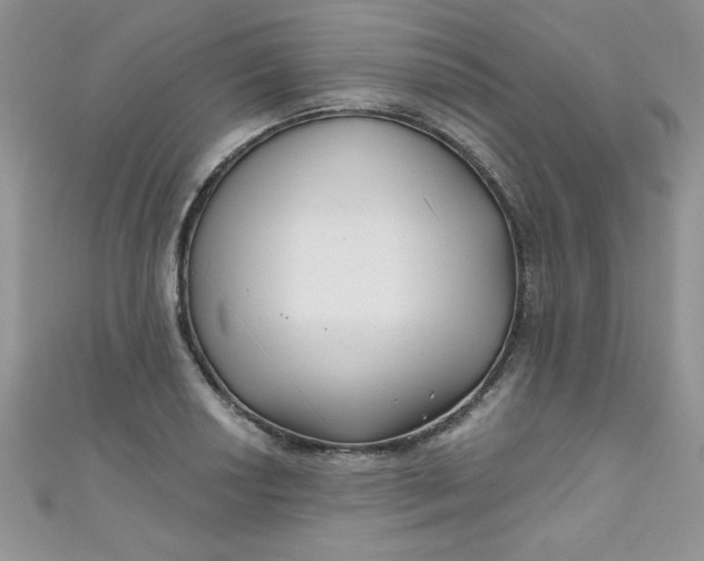 X0000111001034200907022132