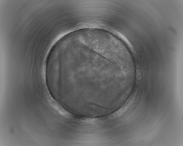 X0000111001035200907022133